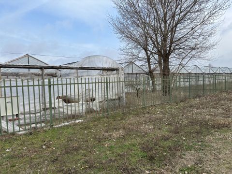 Eladó Telek 4002 Debrecen 