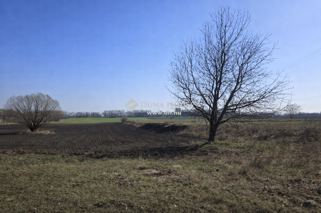 4405 Nyíregyháza , Külterület — 1/5