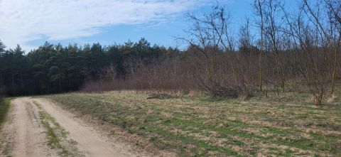 Eladó Telek 2212 Csévharaszt 