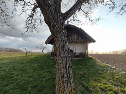 Eladó Ház 8695 Buzsák 