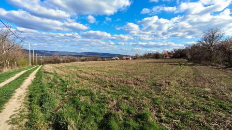 Eladó Telek 2890 Tata , Gurgyalag dűlő