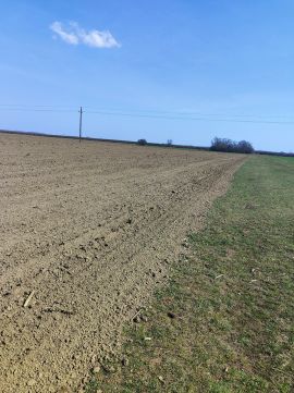 Eladó Telek 3973 Cigánd 