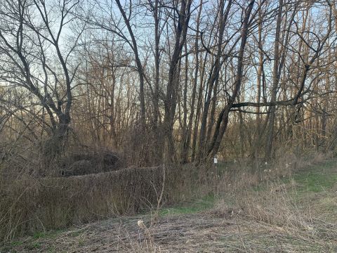 Eladó Telek 2162 Őrbottyán 