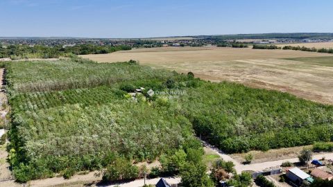 Eladó Telek 2230 Gyömrő , Ipari Telek Központi Helyen