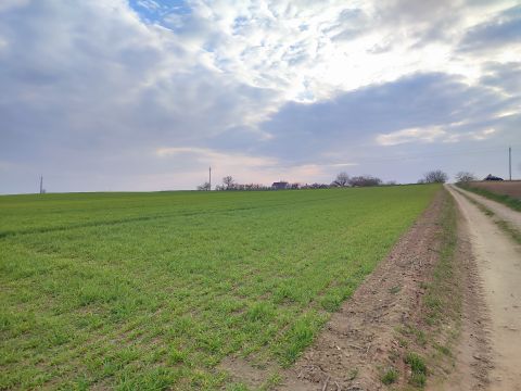 Eladó Telek 9094 Tápszentmiklós , Csend, tér, szabadság, építési telek eladó Tápszentmiklóson!