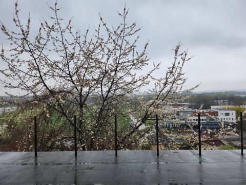 Eladó Ház 8400 Ajka , Ajka