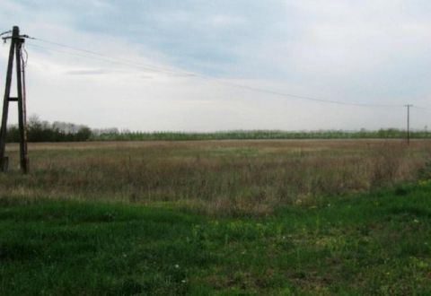 Eladó Telek 6758 Röszke , 6758 Röszke, M5 közelében a röszkei út mellett