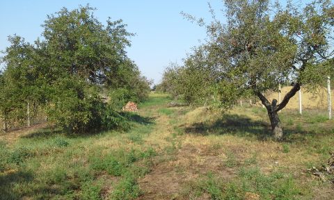 Eladó Telek 4002 Debrecen 