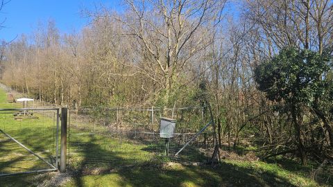 Eladó Telek 8245 Pécsely , 7307-es út mentén Pécsely külterületén 