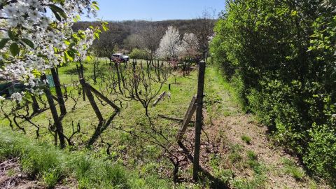 Eladó Telek 7831 Pellérd , Pellérd Szőlőhegy