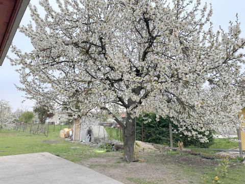 Eladó Ház 2338 Áporka , 2 generációssá bővített Kádár-kocka nagy telekkel, garázzsal
