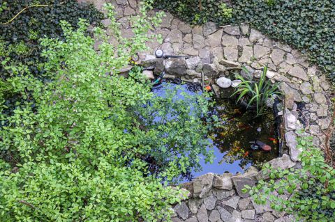 Eladó Lakás 1015 Budapest 1. kerület Mária térnél napféyes, erkélyes lakás.
