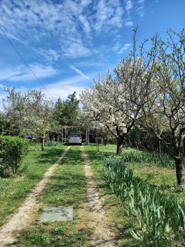 Eladó Ház 2072 Zsámbék , Csendes utcában, közvetlen belterület mellett