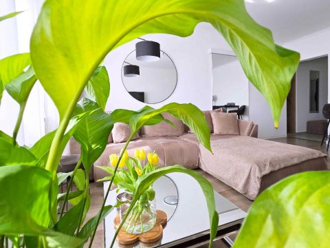 Eladó Lakás 1134 Budapest 13. kerület , 1134 Budapest 13, Angyalföld