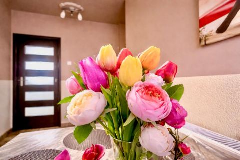 Eladó Ház 4100 Berettyóújfalu , 4100 Berettyóújfalu, belterület