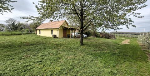 Eladó Mezőgazdasági 7932 Mozsgó 