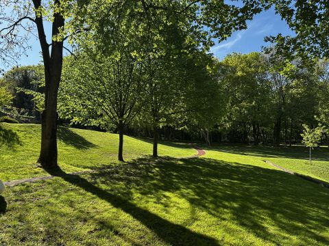 Eladó Lakás 1021 Budapest 2. kerület Erdő mellett