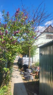 Eladó Ház 7742 Bogád , Bogád Homoktető