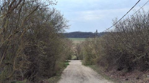 Eladó Telek 2471 Baracska , 2471 Baracska, Váli völgy