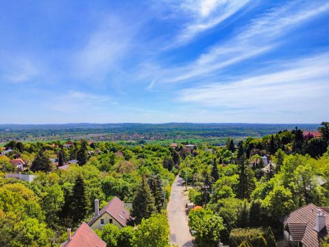 Eladó Ház 2000 Szentendre 