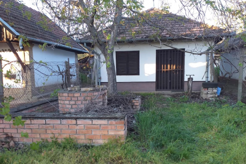 Eladó Mezőgazdasági 2200 Monor , Monori Pincefaluban nagyon jó állapotú pince, kis telekkel!!