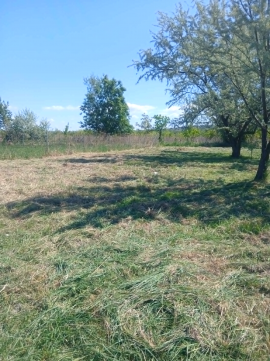 Eladó Telek 8622 Szántód 