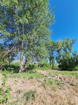 Eladó Telek 8087 Alcsútdoboz 