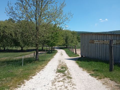 Eladó Mezőgazdasági 2051 Biatorbágy 