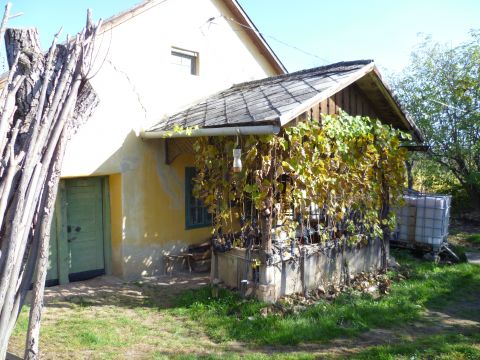 Eladó Mezőgazdasági 7090 Tamási , Bor, panoráma,pince - mi kell még?