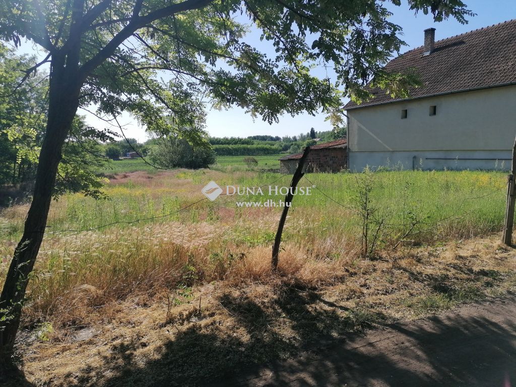 4485 Nagyhalász , Ibrányi utca közelében — 1/5