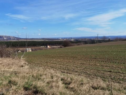 Eladó Telek 8100 Várpalota Várpalota zártkert kis présházzal, szép panorámával