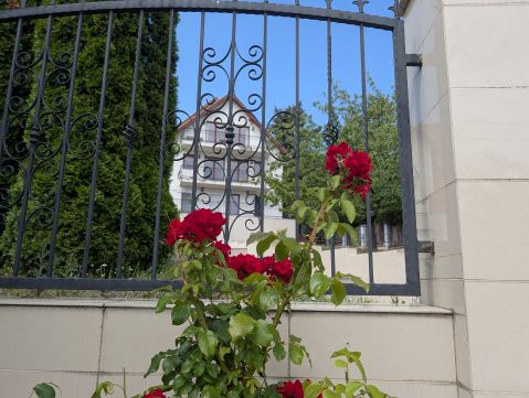 Eladó Lakás 1037 Budapest 3. kerület Gyönyörű környezet, meseszép panoráma!