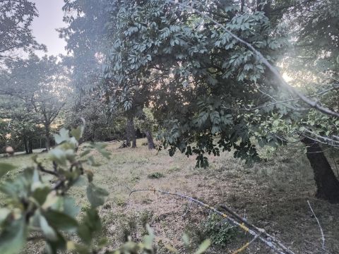 Eladó Telek 8253 Révfülöp 