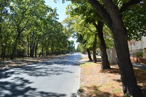 Eladó Parkoló 4028 Debrecen , Debreceni Nagyerdő