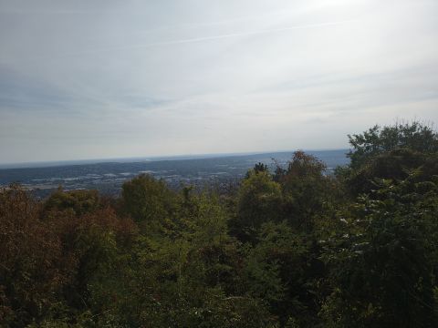 Eladó Telek 2040 Budaörs 