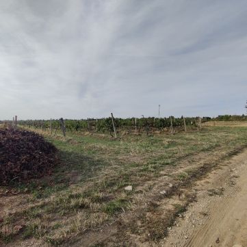 Eladó Telek 9400 Sopron 