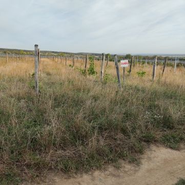 Eladó Telek 9400 Sopron 